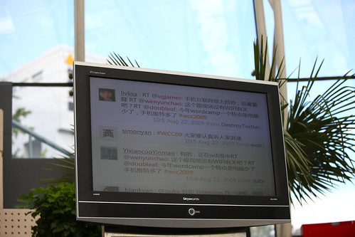Paveo 拍攝的 live board。