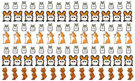 hampster_dance