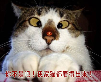 斗鸡眼