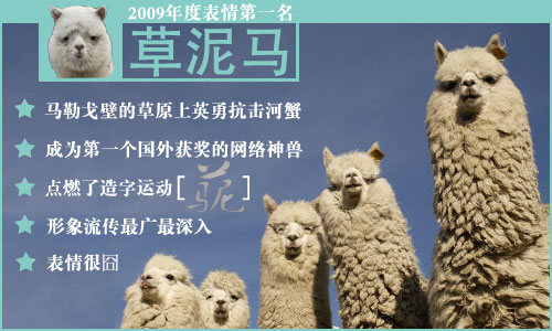 草泥马