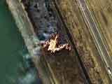 在Google Earth上观看世界60个奇观